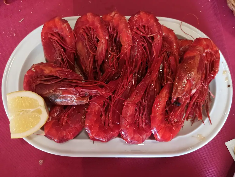 Carabineros