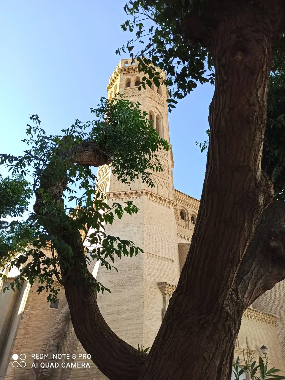 La torre de San Pedro entre los árboles